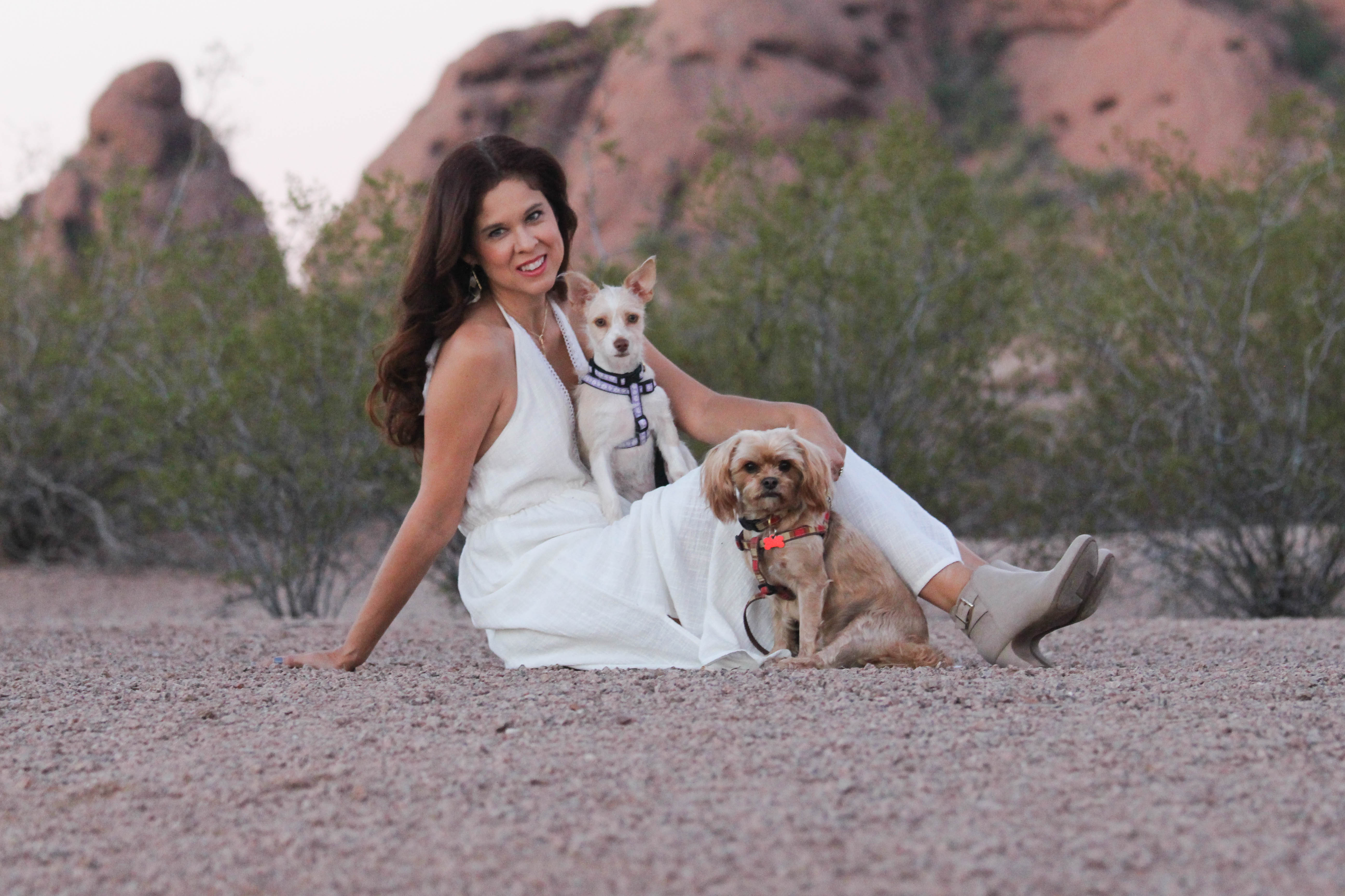Dogs & Photoshoots